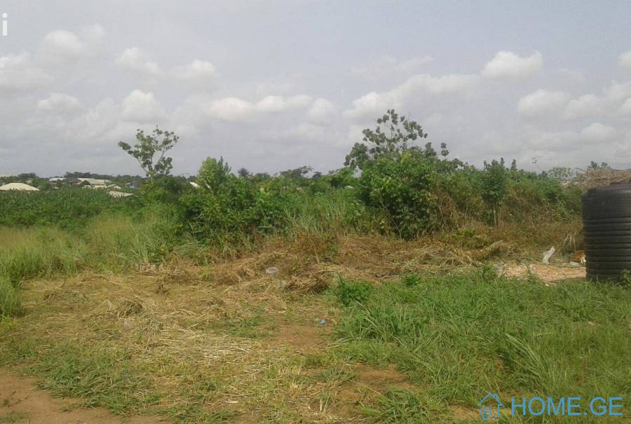 Land For Sale, Non Agricultural, Digomi 1 - 9