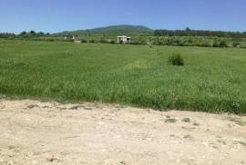 Land For Sale, Saguramo