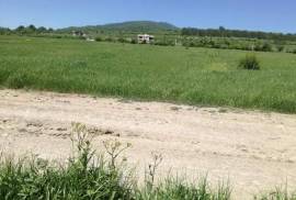 Land For Sale, Saguramo