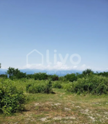 Land For Sale, Telavi
