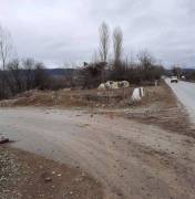 Lease Land , Saguramo