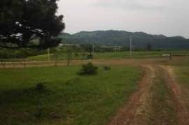 Land For Sale, Tskneti