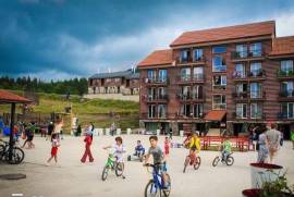 Daily Apartment Rent, 1 Room, Old building, Borjomi , Bakuriani
