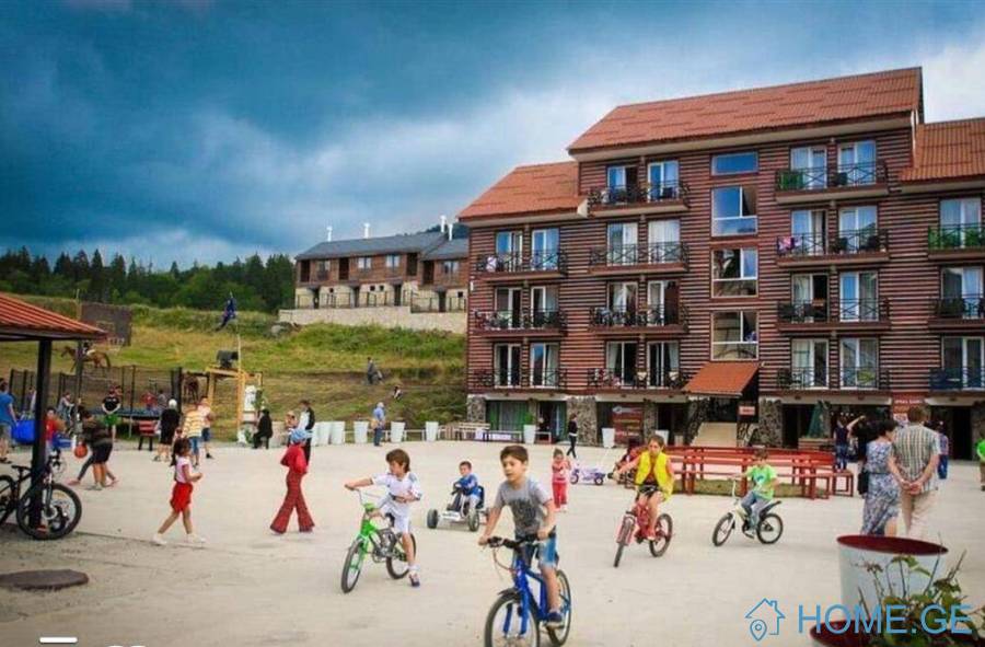 Daily Apartment Rent, 1 Room, Old building, Borjomi , Bakuriani