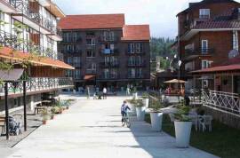 Daily Apartment Rent, 1 Room, Old building, Borjomi , Bakuriani