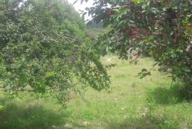 Land For Sale, Agricultural, Bulachauri