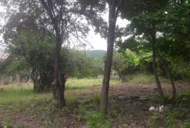 Land For Sale, Agricultural, Bulachauri