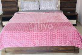 For Rent, Hotel, Sololaki