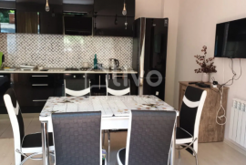 For Rent, Hotel, Sololaki