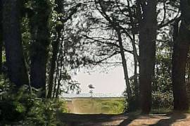 Land For Sale, Ureki