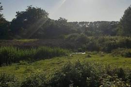 Land For Sale, Ureki