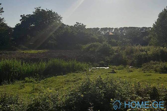 Land For Sale, Ureki