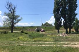 Land For Rent, Ruisi