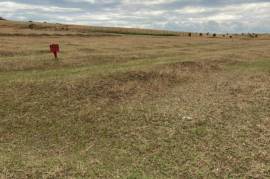 Land For Sale, Varketili