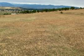 Land For Sale, Varketili