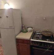 Daily Rent, Shekvetili