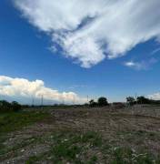 Land For Sale, Telavi