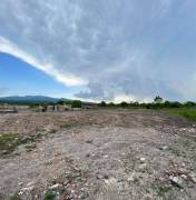 Land For Sale, Telavi