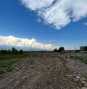 Land For Sale, Telavi