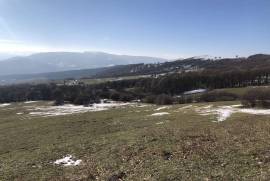 იყიდება მიწის ნაკვეთი, სასოფლო - სამეურნეო, მანგლისი
