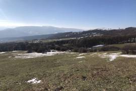 Land For Sale, Manglisi