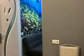 Apartment for sale, 10 Room, Old building, Tbilisi, Isani