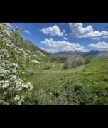 Land For Sale, Agricultural, Gudauri