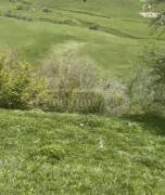 Land For Sale, Gudauri