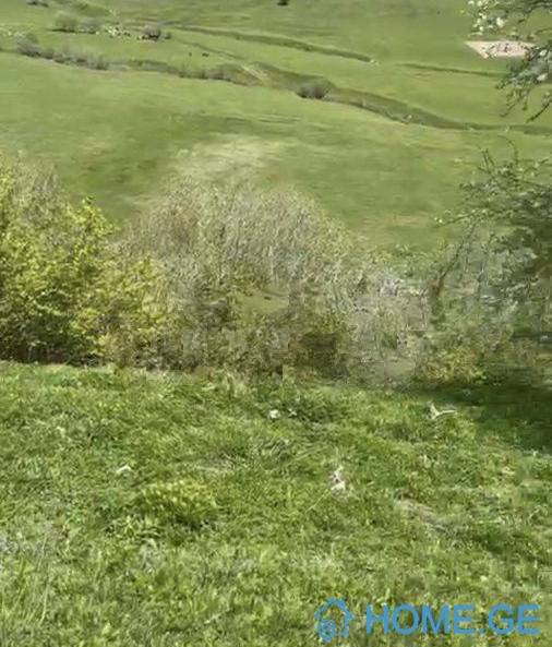 Land For Sale, Agricultural, Gudauri