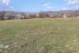 Land For Sale, Jighaura