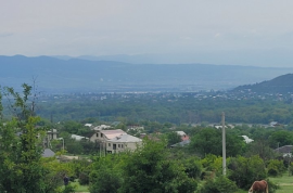 იყიდება მიწის ნაკვეთი, არა სასოფლო - სამეურნეო, ჭოპორტი
