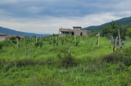 Land For Sale, Choporti