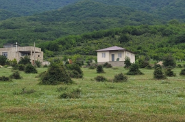 Land For Sale, Choporti