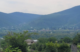 იყიდება მიწის ნაკვეთი, არა სასოფლო - სამეურნეო, ჭოპორტი