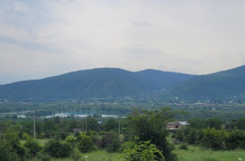 იყიდება მიწის ნაკვეთი, არა სასოფლო - სამეურნეო, ჭოპორტი