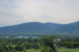 Land For Sale, Choporti