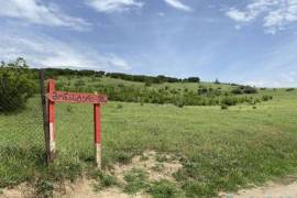 იყიდება მიწის ნაკვეთი, სასოფლო - სამეურნეო, სოფ. დიღომი