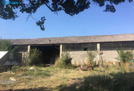 House For Sale, 5 Room, Sighnaghi, Nukriani
