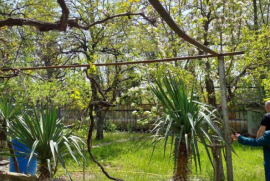 House For Sale, 5 Room, Gardabani , Gamarjveba