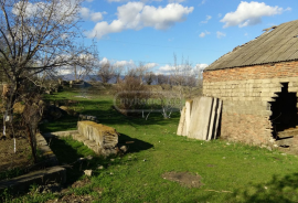 Land For Sale, Agricultural, Digomi village