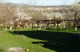 Land For Sale, Agricultural, Digomi village
