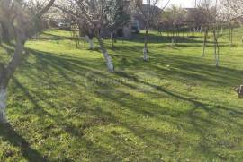Land For Sale, Agricultural, Digomi village