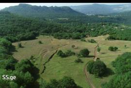Land For Sale, Agricultural, Orbeti
