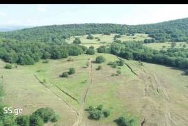 Land For Sale, Agricultural, Orbeti