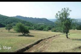 Land For Sale, Agricultural, Orbeti