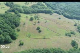 Land For Sale, Agricultural, Orbeti