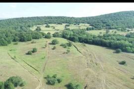 Land For Sale, Agricultural, Orbeti 