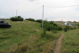 იყიდება მიწის ნაკვეთი, სასოფლო - სამეურნეო, მთაწმინდა