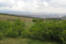 იყიდება მიწის ნაკვეთი, სასოფლო - სამეურნეო, მთაწმინდა