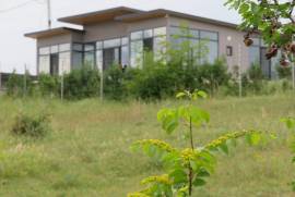 იყიდება მიწის ნაკვეთი, სასოფლო - სამეურნეო, მთაწმინდა